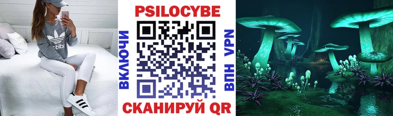 Галлюциногенные грибы GOLDEN TEACHER  купить наркотики сайты  Купино 
